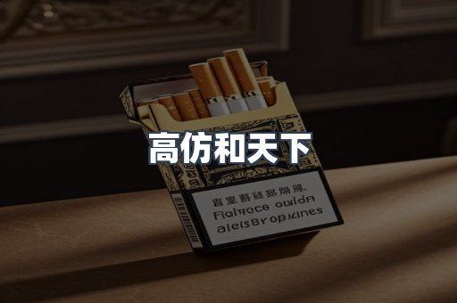 高仿和天下